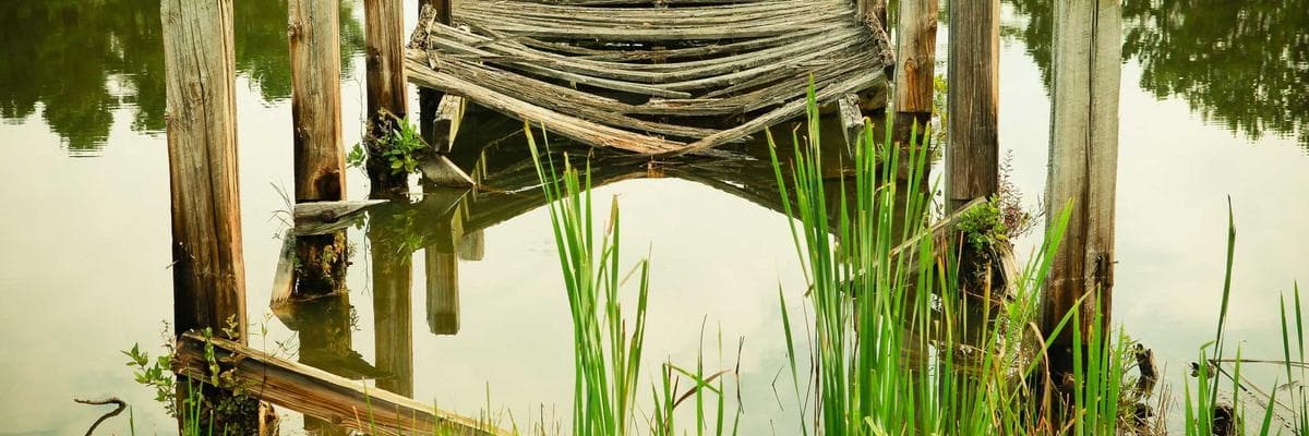 বাংলালিংক মেগা সেল: ৫০% ডিসকাউন্ট